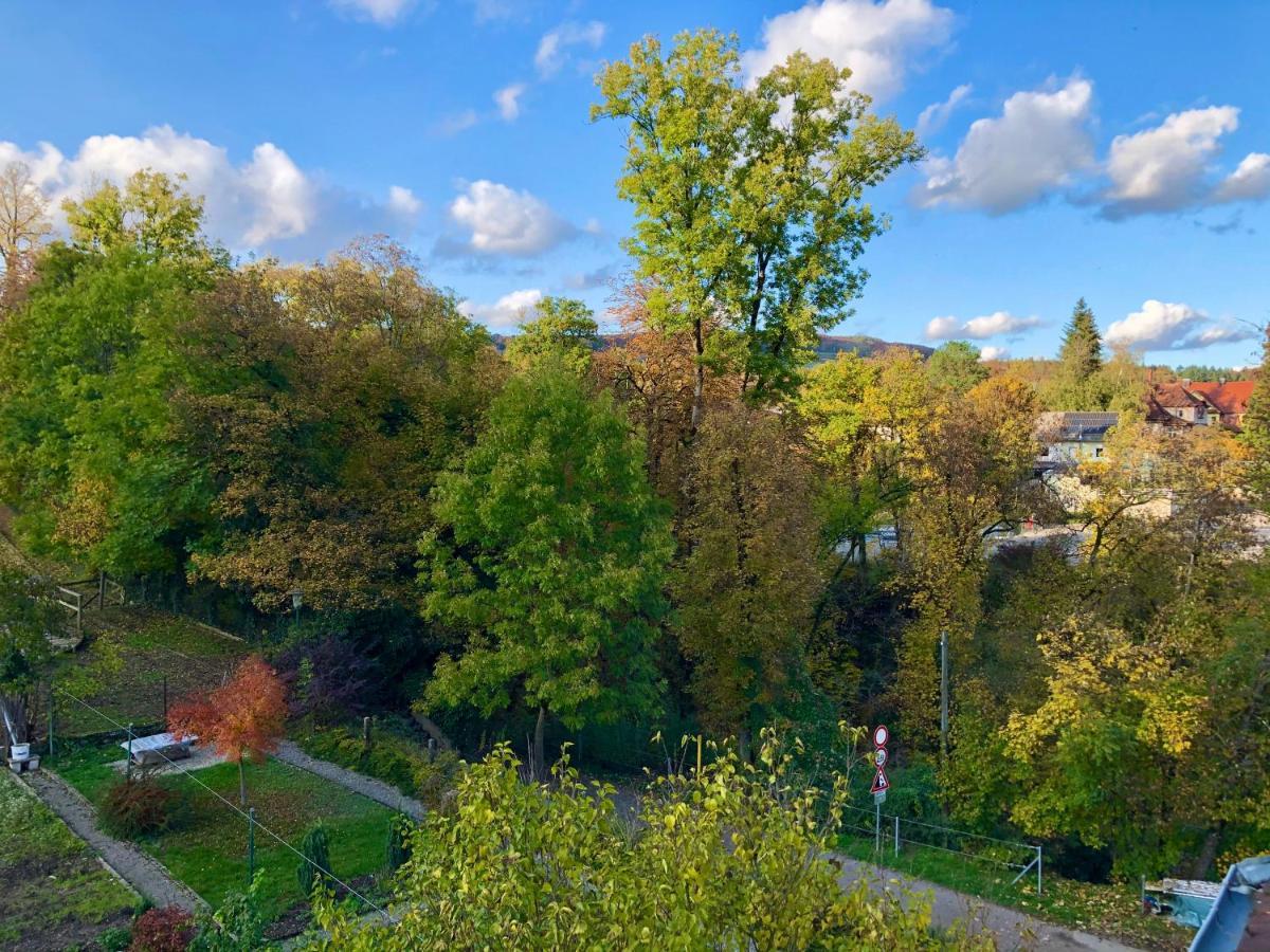 Ferienwohnung Im Gruenen Auf Idyllisch Gelegenen Gutshof Und Doch So Zentral 발드슈트티엔겐 외부 사진
